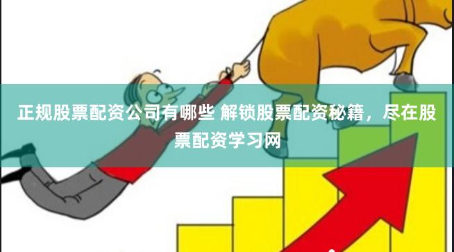 正规股票配资公司有哪些 解锁股票配资秘籍，尽在股票配资学习网